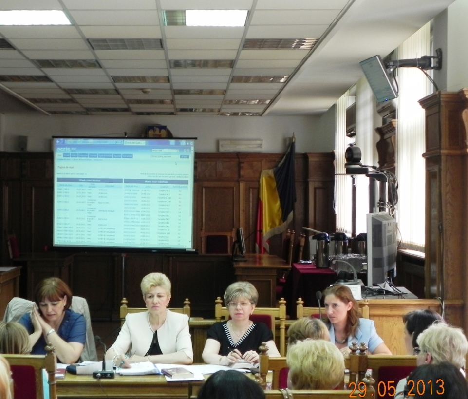 Comunicat 29 mai 2013 - 1
